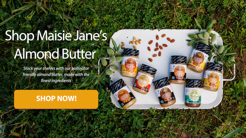 Variety of Maisie Jane's almond butters on a tray