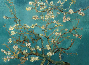 Almond Tree in Blossom by Vincent Van Gogh