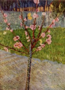 Almond Tree Sapling by Vincent Van Gogh