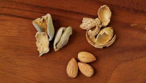 Almond Shells