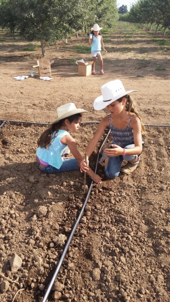 The Hurtado girls helping plant a field.
