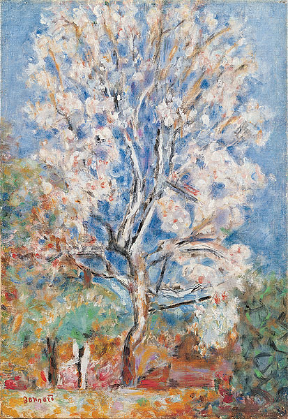 The Almond Tree by Pierre Bonnard