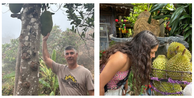 Isidro with a Jackfruit and Natalia smelling a Durian fruit.