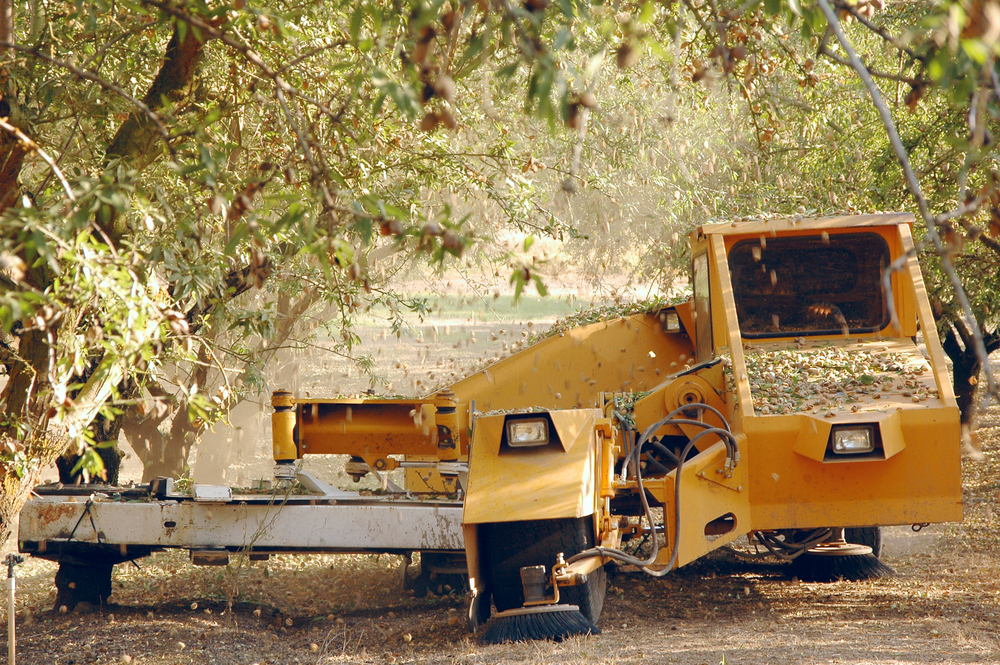 Almond Post-Harvest Irrigation