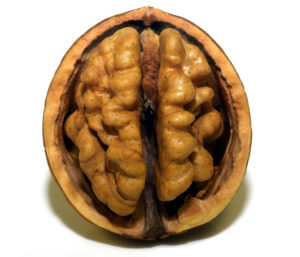 Walnuts for brain health