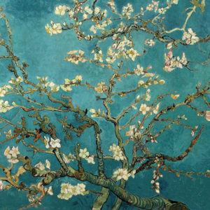 Almond Tree in Blossom by Vincent Van Gogh