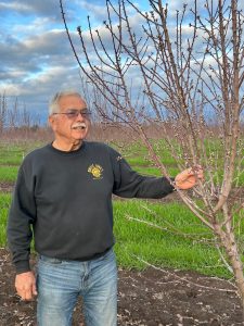 Ben Bertagna In almond orchard