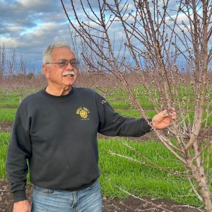 Ben Bertagna In almond orchard