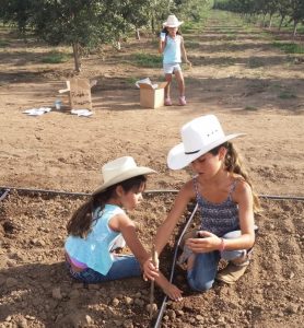 The Hurtado girls helping plant a field.