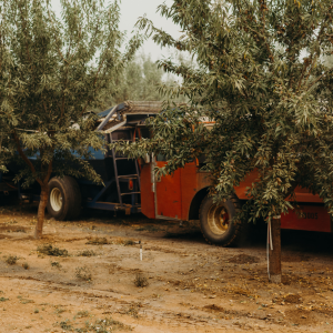 Pick-up Machine and Bankout 'train'