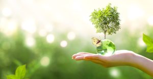 Earth crystal glass globe ball and growing tree in human hand, flying yellow butterfly on green sunny background.