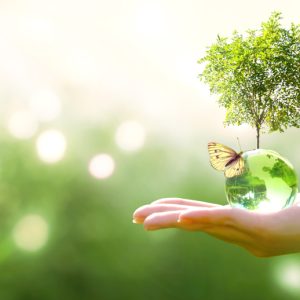 Earth crystal glass globe ball and growing tree in human hand, flying yellow butterfly on green sunny background.